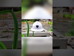 Casco di sicurezza anti shock della testa del lavoro EN397 6 punti della sospensione per Electric Power